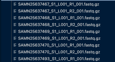 SAMN outputs